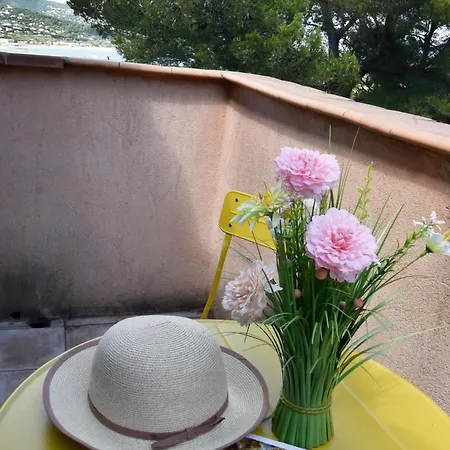 Piscine Chauffee Et Magnifique Vue Mer! A10 Mns De La & Du Centre! Villa Cavalaire-sur-Mer